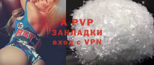 индика Аркадак