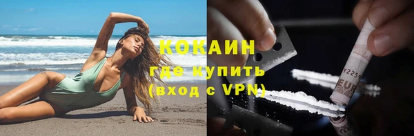 индика Аркадак