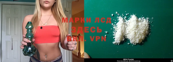 индика Аркадак