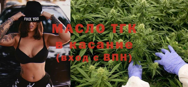 индика Аркадак