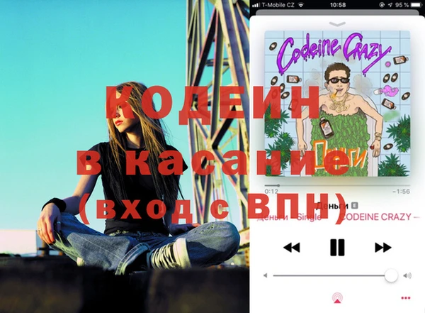 индика Аркадак