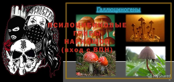 прущие грибы Кукмор