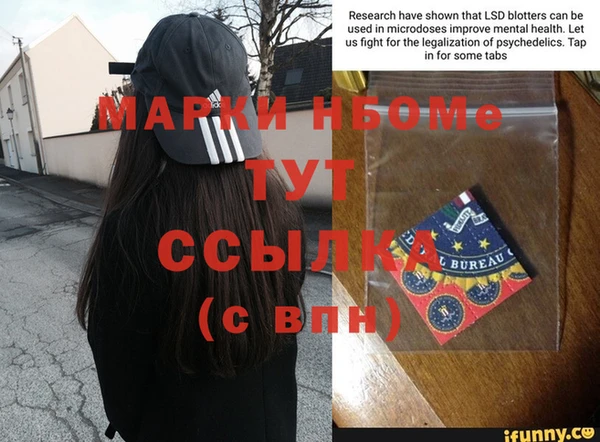 индика Аркадак