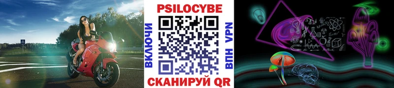 Галлюциногенные грибы Psilocybine cubensis  Купить где  Боровск 